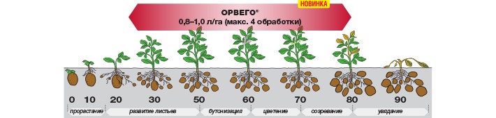 ОРВЕГО® - Максимальный потенциал здорового урожая!